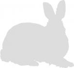 Aufkleber Applikation - Kaninchen - AP1231 - weiß / 40cm