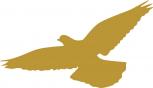 Aufkleber Applikation - Taube - AP1422 - gold / 40cm