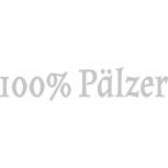 Aufkleber Applikation - 100% Pälzer - AP1735 - silber