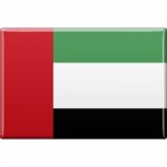 Küchemagnet - Länderflagge Arabische Emirate - Gr.ca. 8x5,5 cm - 38009 - Magnet