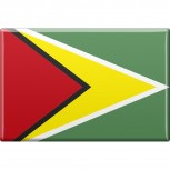 Kühlschrankmagnet - Länderflagge Guyana - Gr.ca. 8x5,5 cm - 38044 - Magnet