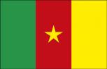 Flagge Stockländerfahne - Kamerun - Gr. ca. 40x30cm - 77076 - Schwenkfahne