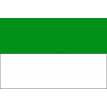 Dekoflagge - Grün-Weiß - Gr. ca. 40x30 cm - 24456 - neutrale Hissfahne