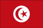 Länder-Flagge - Tunesien - Gr. ca. 40x30cm - 77173 - Flagge, Fahne, Stockländerfahne
