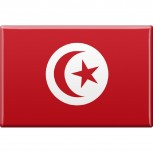 Magnet - Länderflagge Tunesien - Gr.ca. 8x5,5 cm - 37843