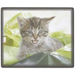 Mauspad Mousepad Tiermotiv - Kätzchen im Karton - KA284