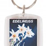 Schlüsselanhänger - EDELWEISS - Gr. ca. 4 x 6 cm - 03437