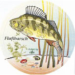 PVC Aufkleber Applikation - Fisch - Fische - Angeln - Flußbarsch - 307362 - Gr. ca. 8 cm
