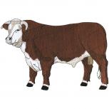 Aufnäher XL - Bulle Stier braun-weiß - 08581 - Gr. ca. 26cm x 17cm